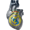 Zizou